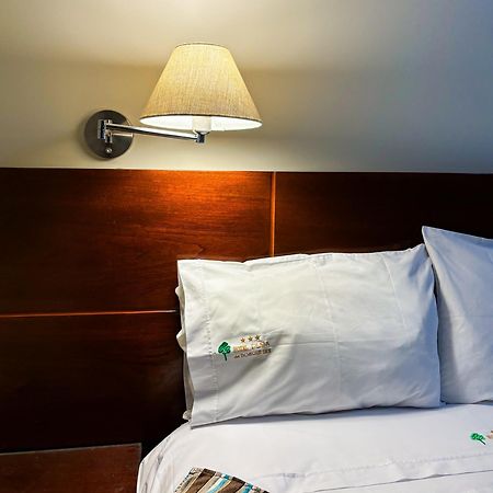 Hotel Plaza Del Bosque Inn تينغو ماريا المظهر الخارجي الصورة