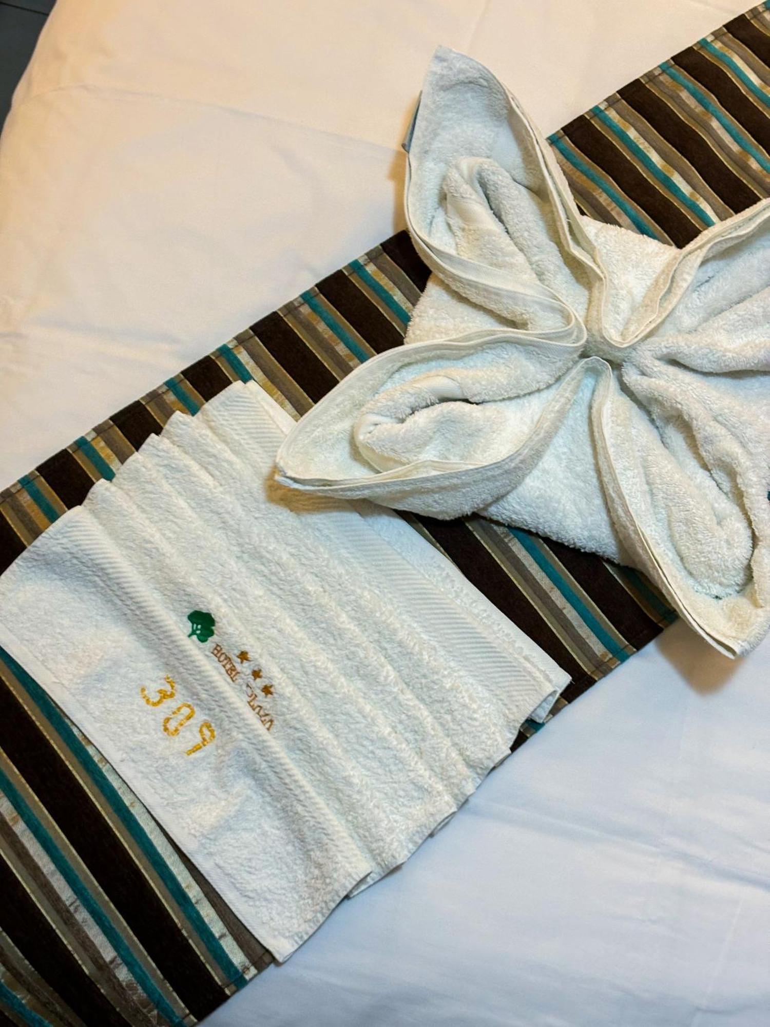 Hotel Plaza Del Bosque Inn تينغو ماريا المظهر الخارجي الصورة